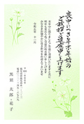 No.M-C02