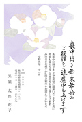 No.M-C06