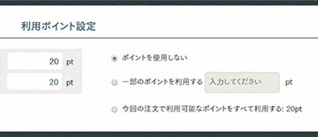 利用ポイントの指定